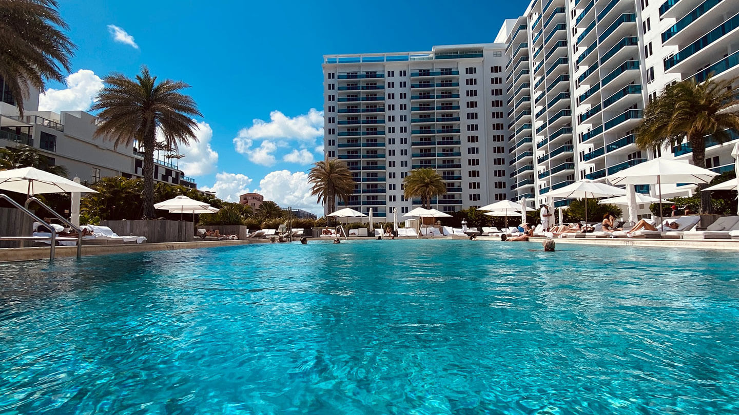 Gatto-Hotels